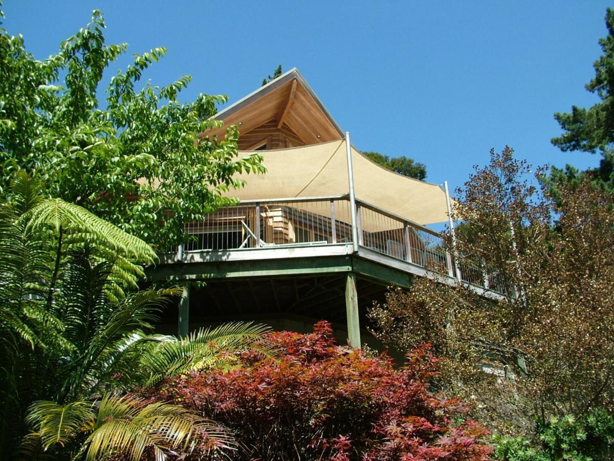 Waiotahi Valley Lodge Thames Extérieur photo